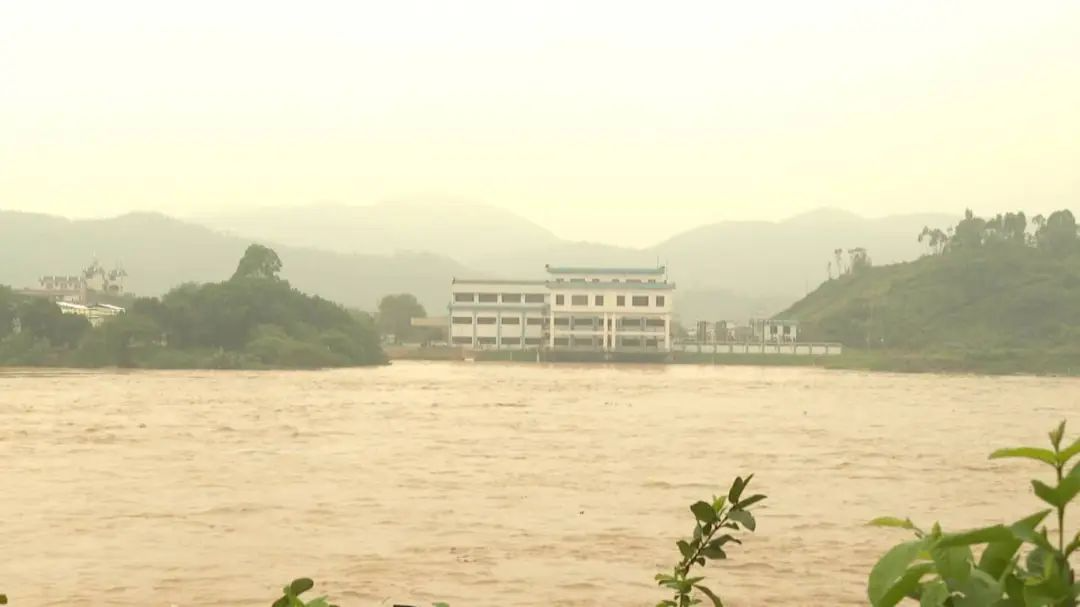 圖片來源:“四會(huì)發(fā)布”微信公眾號